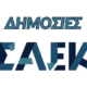 900_saek-1
